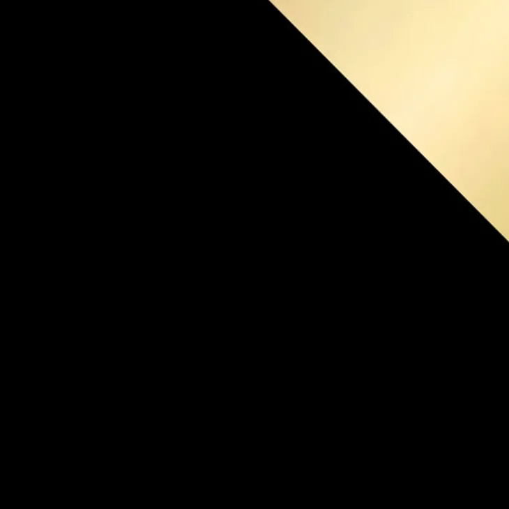 Armadio 100x215h cm 2 ante moderno nero oro Glammy 2