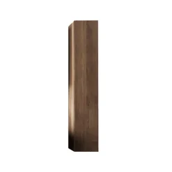 Colonna bagno 25x138h cm 1 anta rovere scuro Alvarez