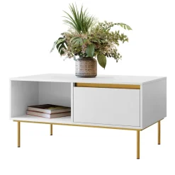 Tavolino da salotto 100x60cm 1 anta bianco oro Praga