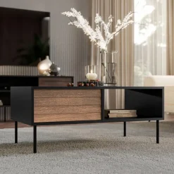 Tavolino da salotto 100x55cm con vano noce nero Wild