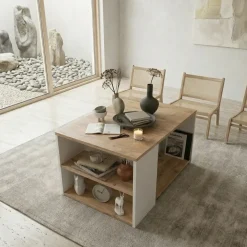 Tavolino da salotto 90x59cm 2 ripiani bianco rovere rustico Luzon